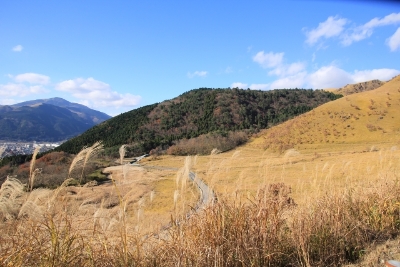 규슈 4일 #TV방송호텔 #숲속료칸 온크리 #월드특급체인 힐튼 #일본3대성 #그림같은절경 라쿠엔 #다자이후텐만궁 #多양한간식