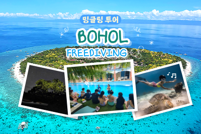 [밍글링 투어ㅣ프리다이빙] 보홀 5일 #베이직프리다이버 #반딧불이 #나팔링 #라메디리조트 #레이트체크아웃 #정다연