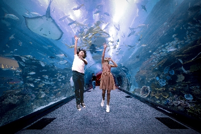 두바이/아부다비 6일 #겨울방학 아동동반 가족여행 #그랜드하얏트호텔+워터파크 #워너브라더스월드/페라리월드 #분수쇼 관람식  #두바이몰 아쿠아리움 