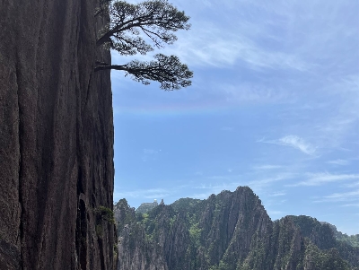 [부산출발] 상해/항주/황산/삼청산 5일 #중국명산집중탐방#상해황산옛거리 #송성가무쇼#서호유람