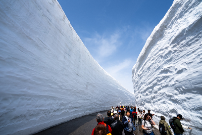 사진:나고야/알펜루트 4일 #일본알프스 #설벽오픈 #시라카와고 #다카야마 #나고야성 #도자기마을 #온천호텔 #스타벅스 