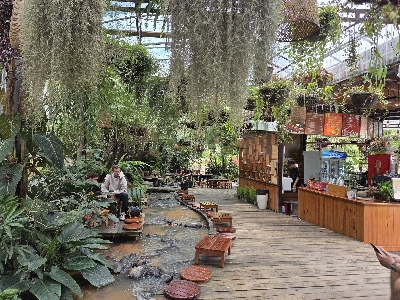 [한정특가] 나트랑/달랏 5일 #위장을채워달랏 #스테디셀러 #1일1간식 #시내호텔 #달랏야시장관광 #핵심관광지 #맛있는여행