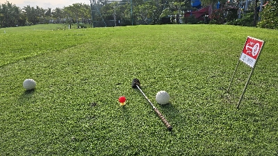 골프