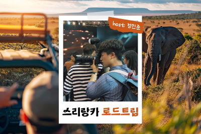 사진:[밍글링 투어ㅣ로드트립] 스리랑카 일주 8일 #코끼리사파리 #시기리아록일출 #캔디 #나인아치브릿지 #거북이부화장 #시내투어 #어른방학