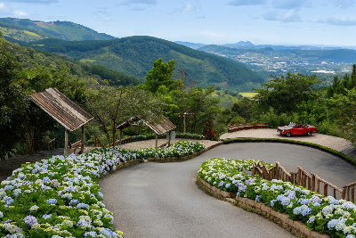 [홈쇼핑에디션] 나트랑/달랏 5일 #딜라이트별빛산책 #전일정5성호텔 #야경투어 #낭만여행 #달랏폭포 #나트랑루프탑바 #마사지1시간 #1일1간식
