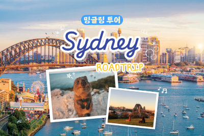 [밍글링 투어ㅣ로드트립] 메리 시드니 7일  #쿼카 #본다이비치 #오페라하우스 #블루마운틴 #돌핀크루즈 #1일자유 #헬씨빈