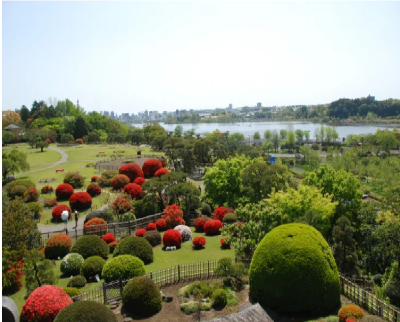 사진:미토/이바라키 4일 #자유여행 #도미인 미토 핫 스프링스 숙박 #더블룸(조식 불포함) #미토 시내호텔