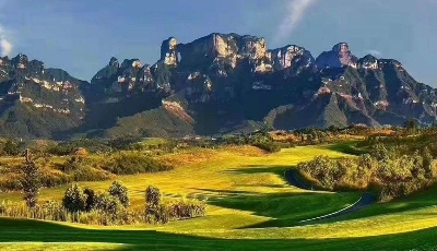 골프