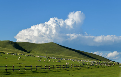 사진:[출발확정] [땡처리닷컴][특별전세기/후룬베이얼]내몽골/후룬베이얼 대초원 5일 #세계3대초원 #대자연힐링 #현대식게르(2인1실) #캠프파이어 #만주리러시아풍거리 #마트료시카테마파크 #시내핵심관광
