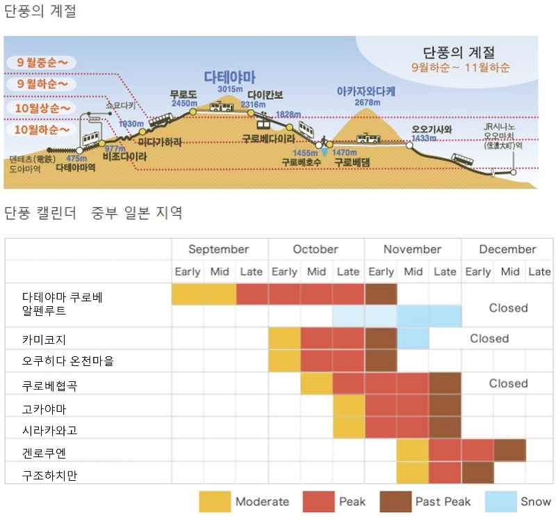 일본 중부 단풍 캘린더