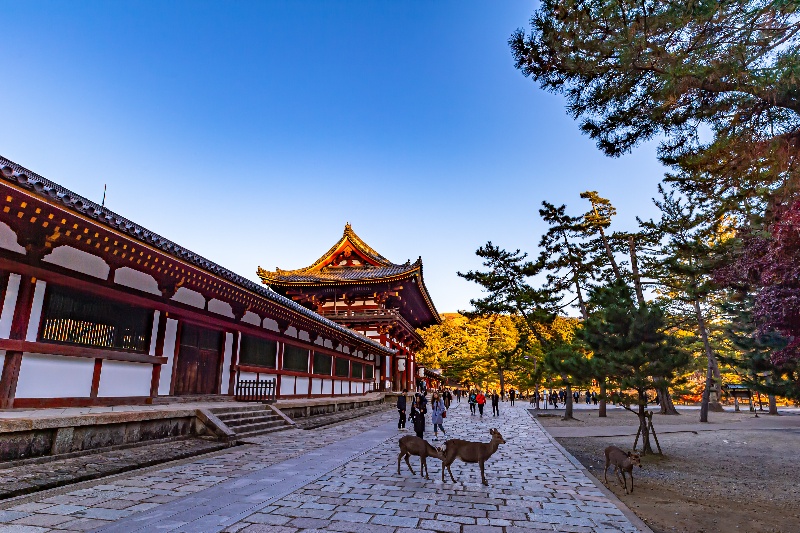 패키지상품 대표 이미지