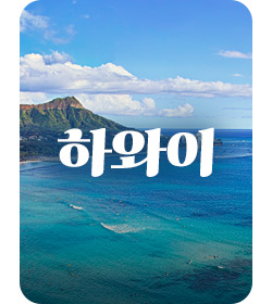 하와이