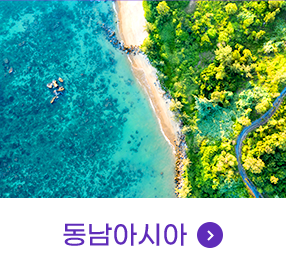 동남아시아