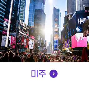 미주