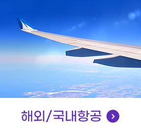 해외/국내항공