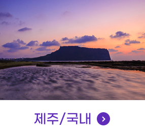 제주/국내