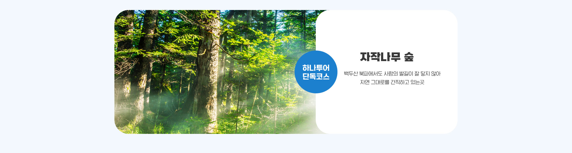섹션1