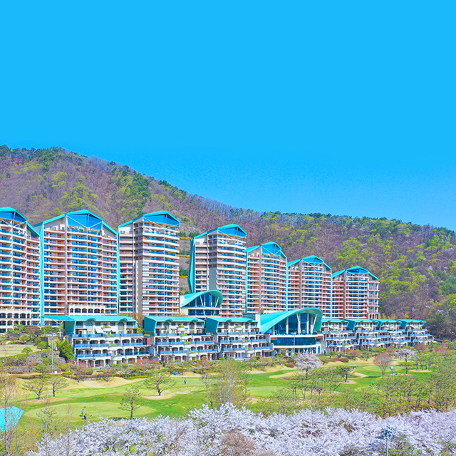 나는 [  ]하러 소노에 갑니다