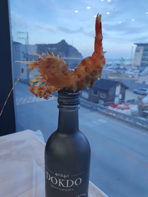 비치온