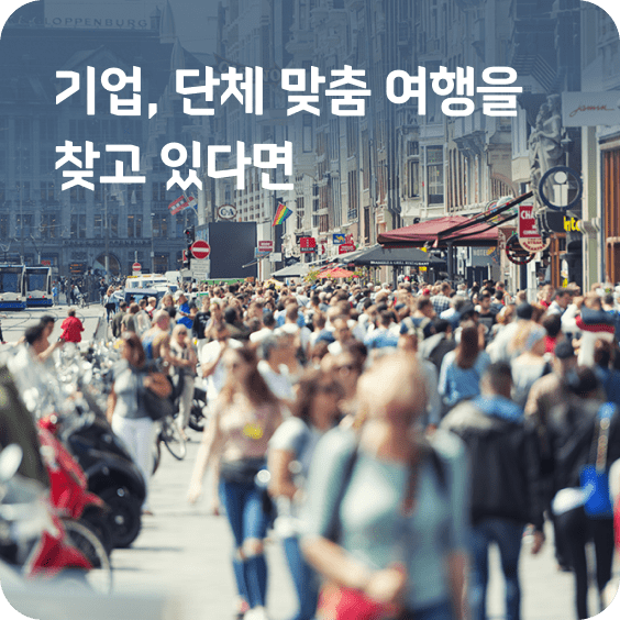 기업 단체 맞춤 여행을 찾고 있다면
